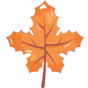 Maples Digital