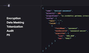 Conduktor gallery image