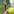 Tennis Lessons Waukesha