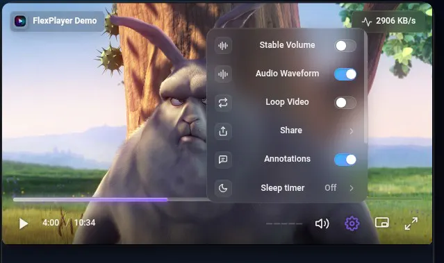 FlexPlayer Studio gallery image