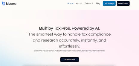 Bizora AI gallery image