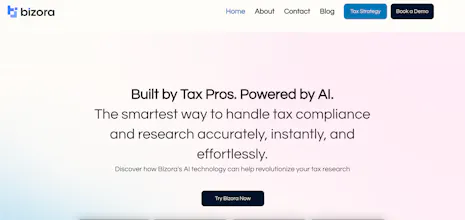 Bizora AI gallery image