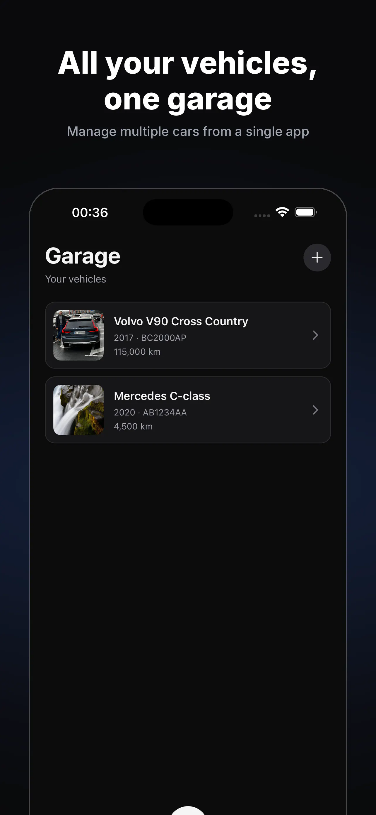MotionQ gallery image