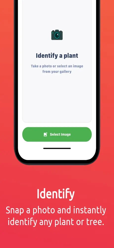 Plant Identifier gallery image