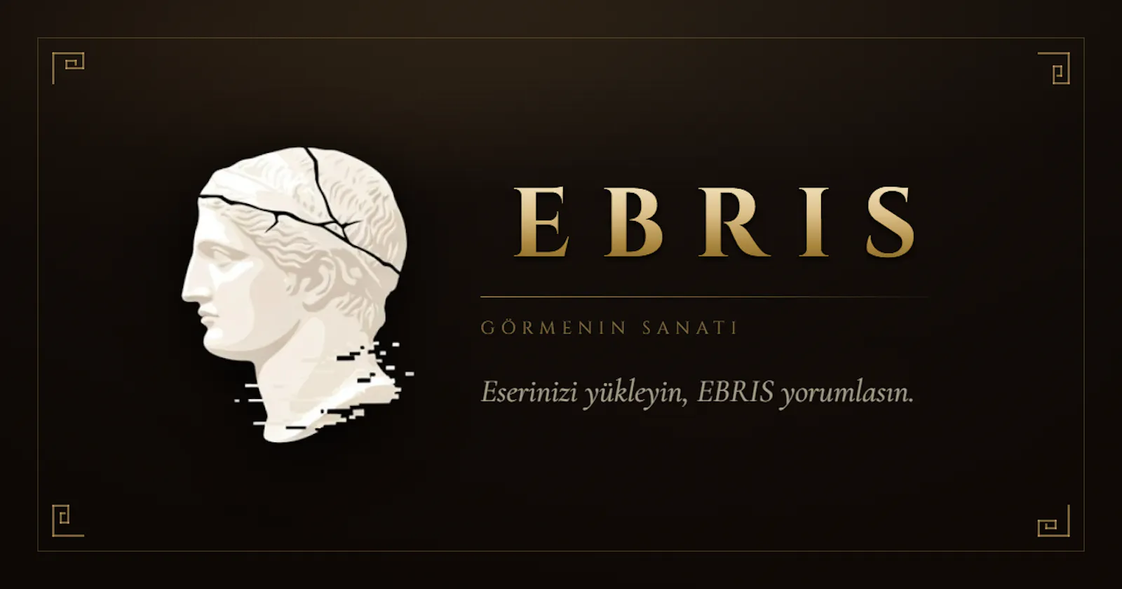 EBRIS screenshot 1