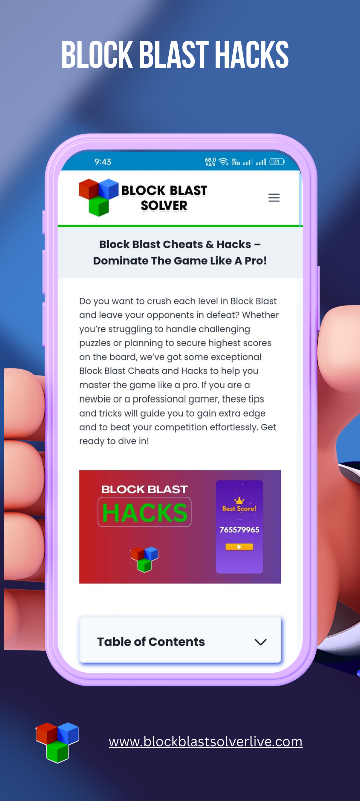 Block Blast Solver gallery image