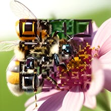 QRX Codes gallery image