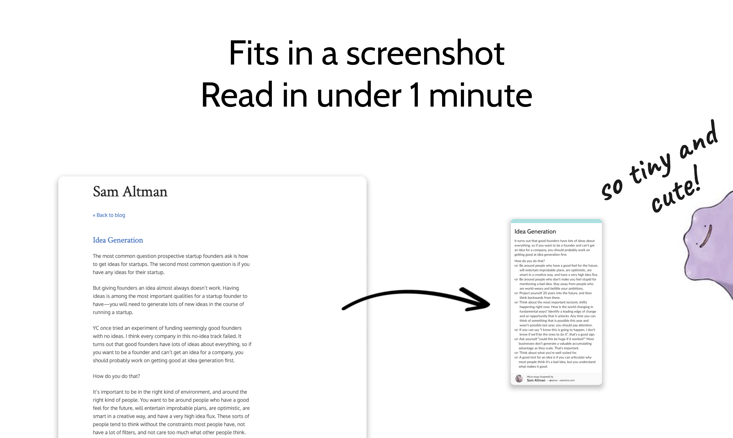 The Daily Micro gallery image