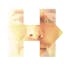Hillary Avatar Generator