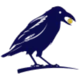 Cornix