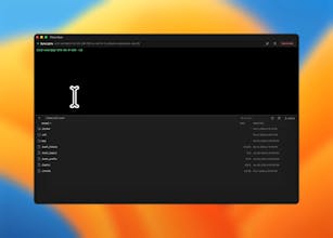 Pluto Door gallery image