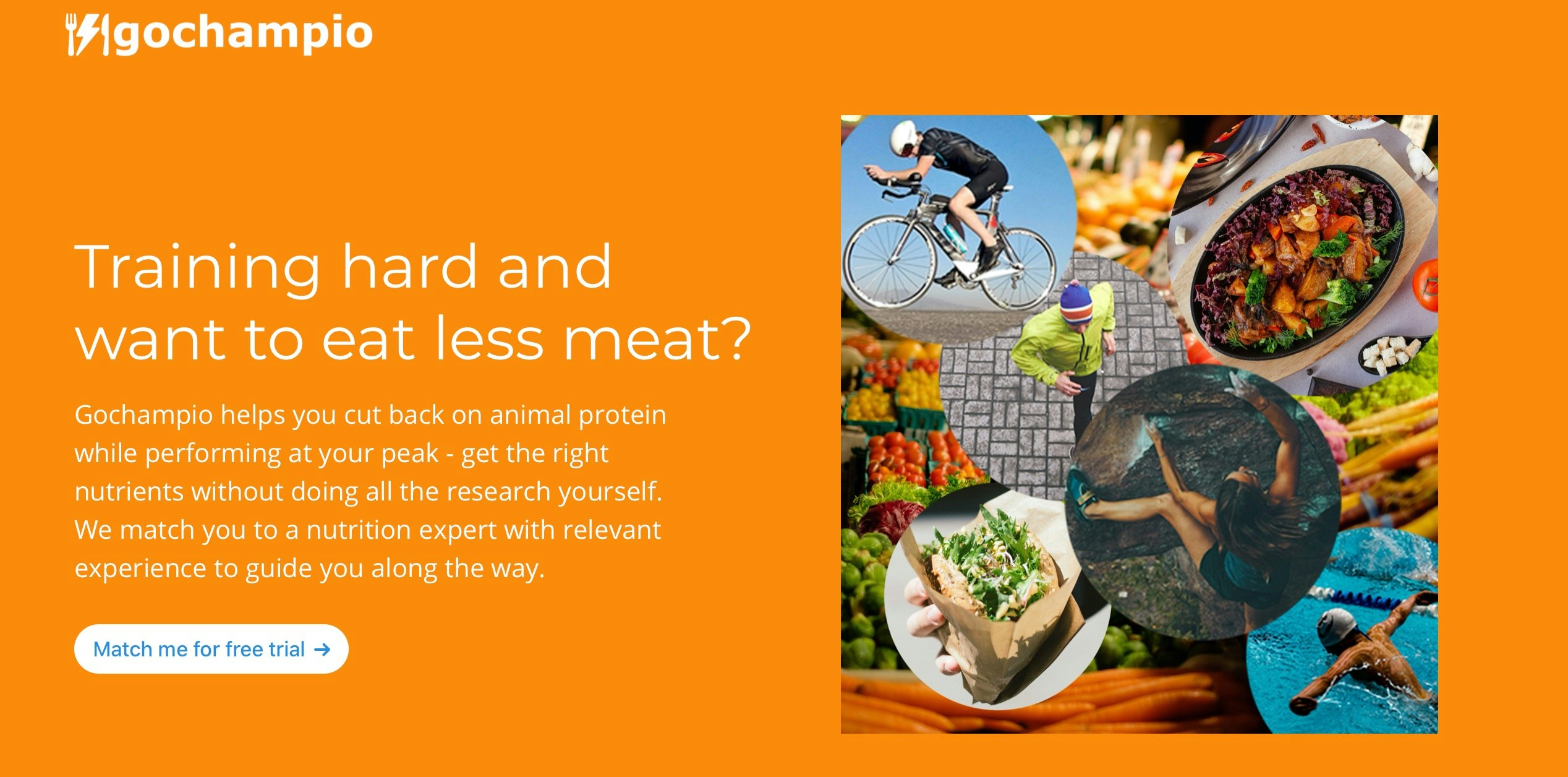 GoChampio gallery image