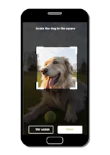 DOGZAM gallery image