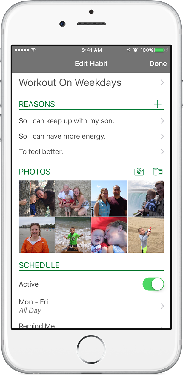 My Reasons gallery image