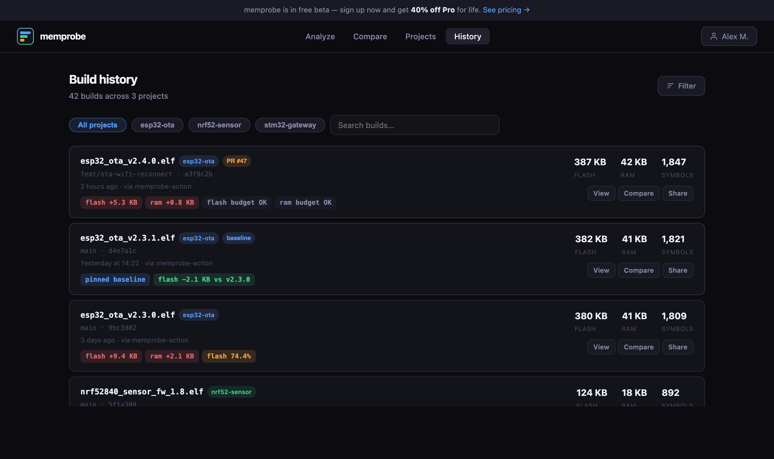 memprobe.dev gallery image
