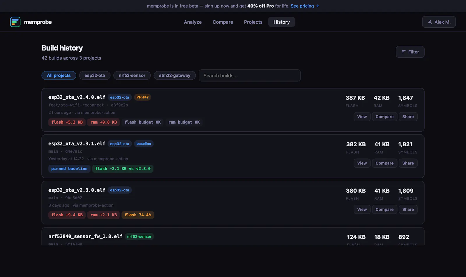 memprobe.dev screenshot 3