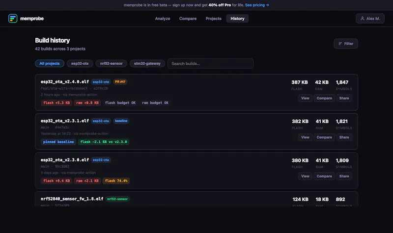 memprobe.dev screenshot 3