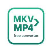 MKV to MP4 Converter