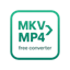MKV to MP4 Converter