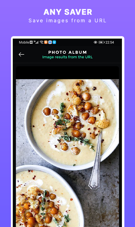 Img Downloader gallery image