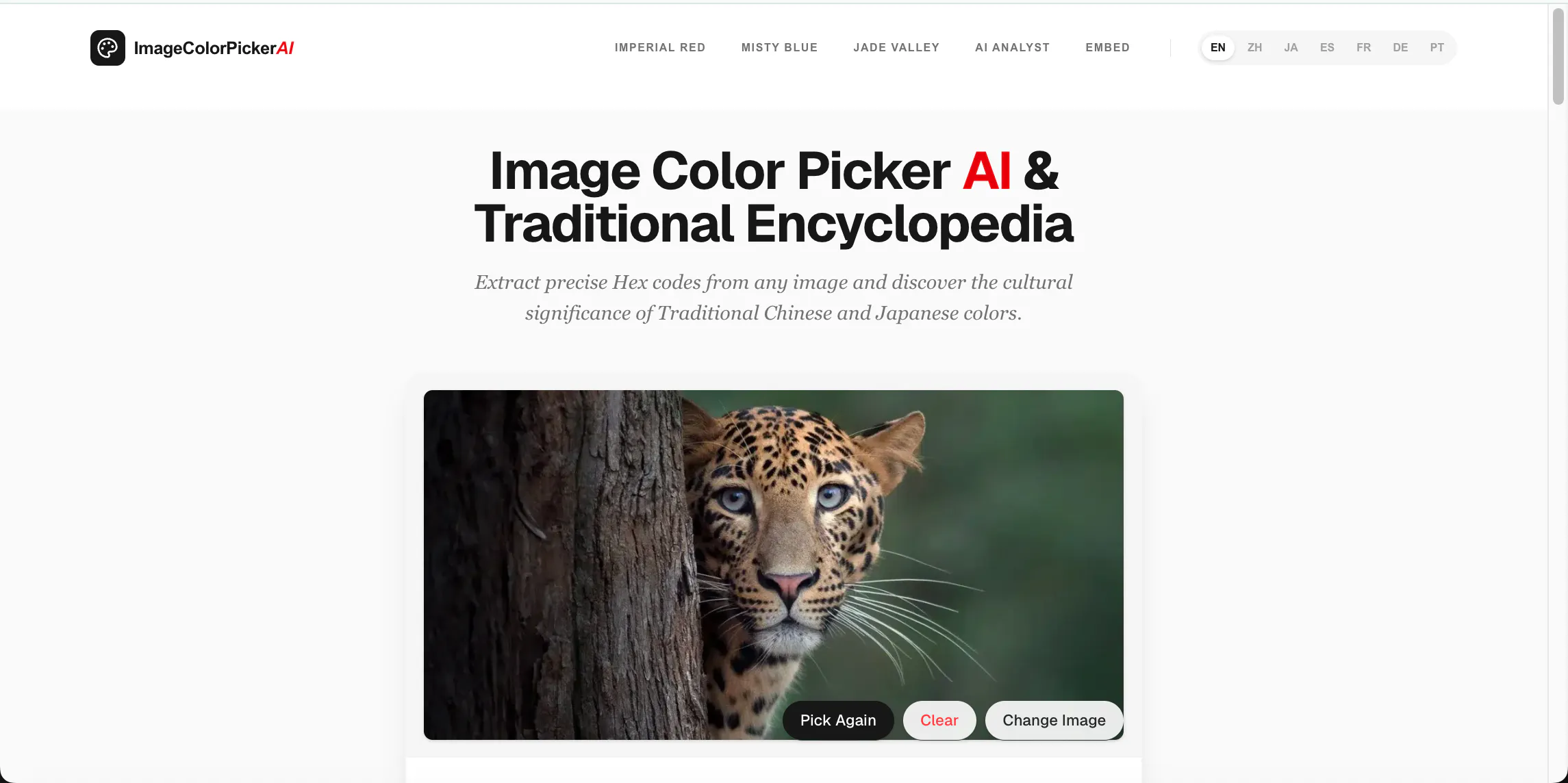 Image Color Picker AI gallery image