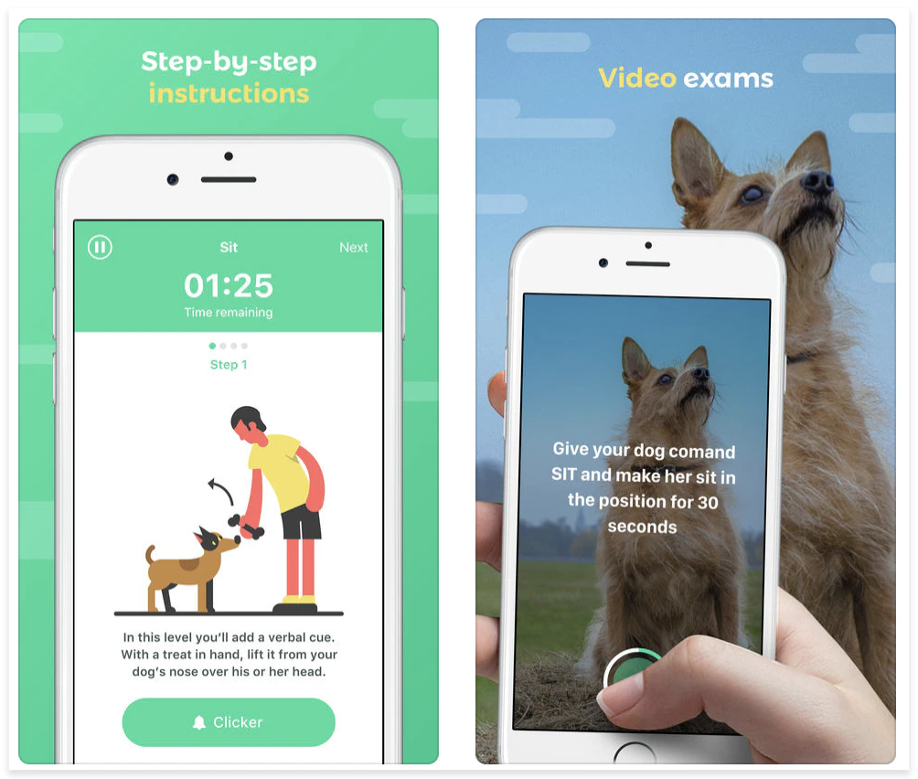 DOGOページ Dogo | Positive dog training, make learning tricks fun | Product Hunt