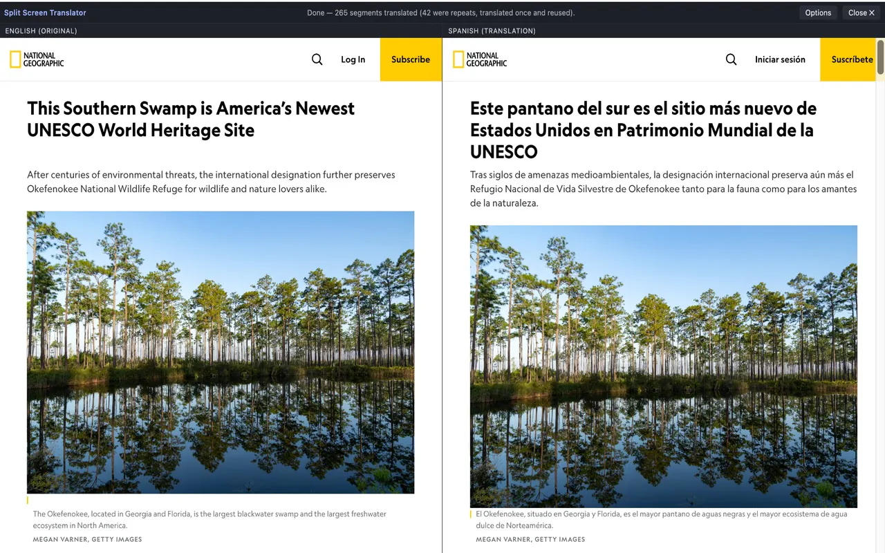 Split Screen Translator gallery image