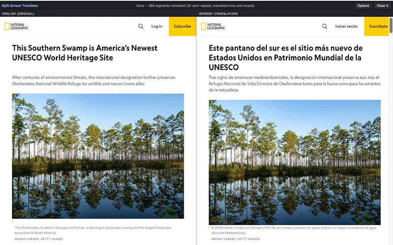 Split Screen Translator screenshot 3