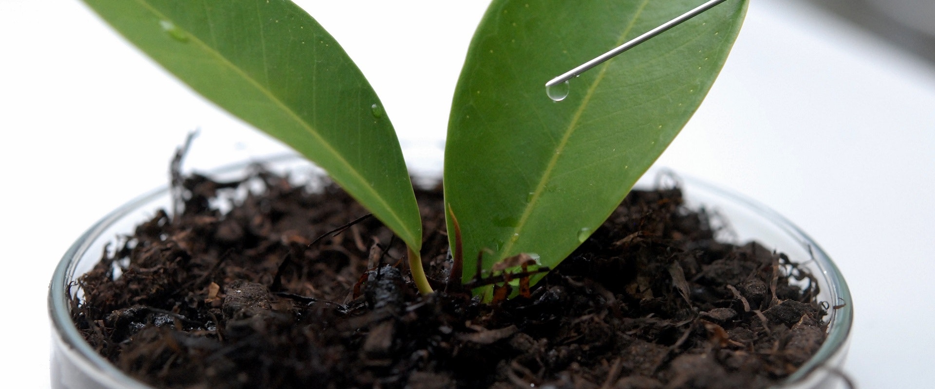 UPM Technology transfer gallery image