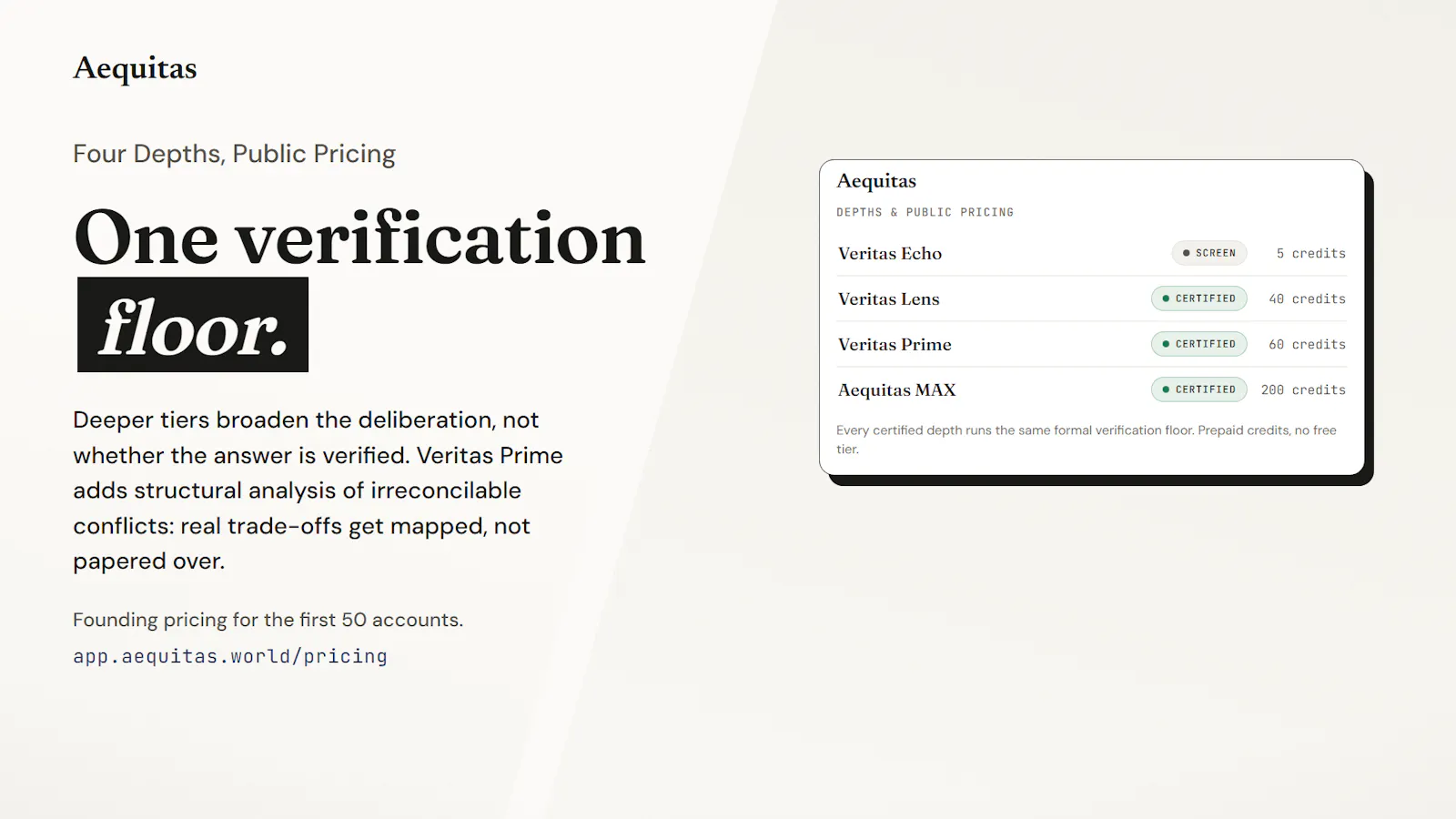Aequitas AI screenshot 3