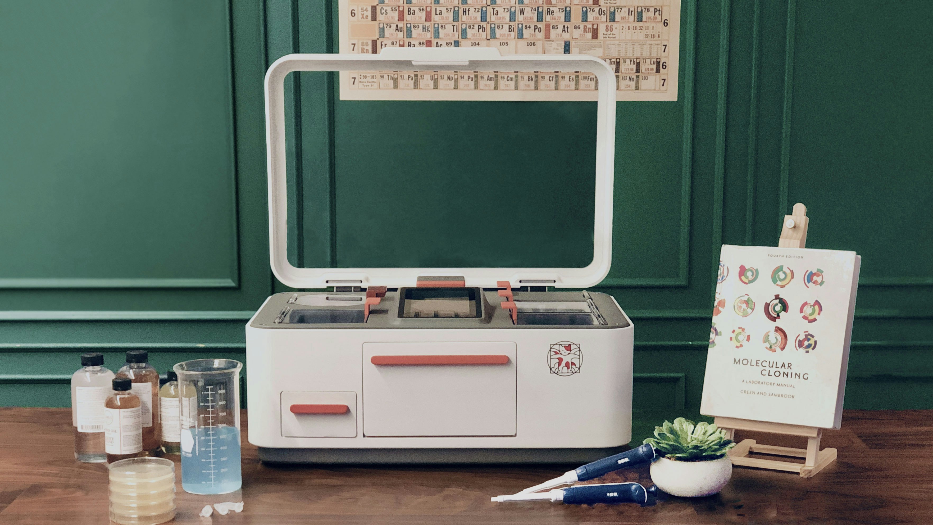 Feles One gallery image