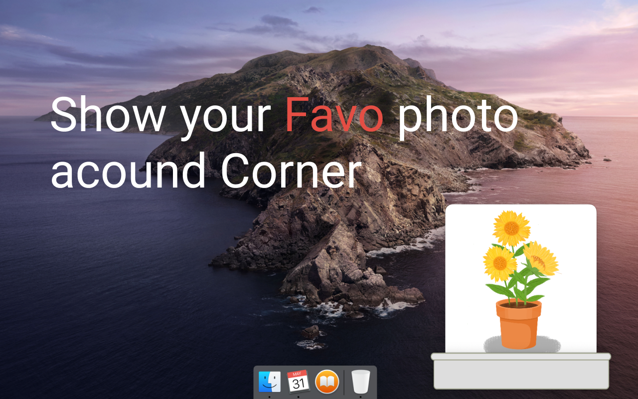 Lovely gallery image