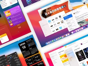 Slantt gallery image