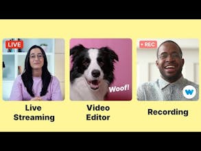 Video Hosting the way you want it gallery image
