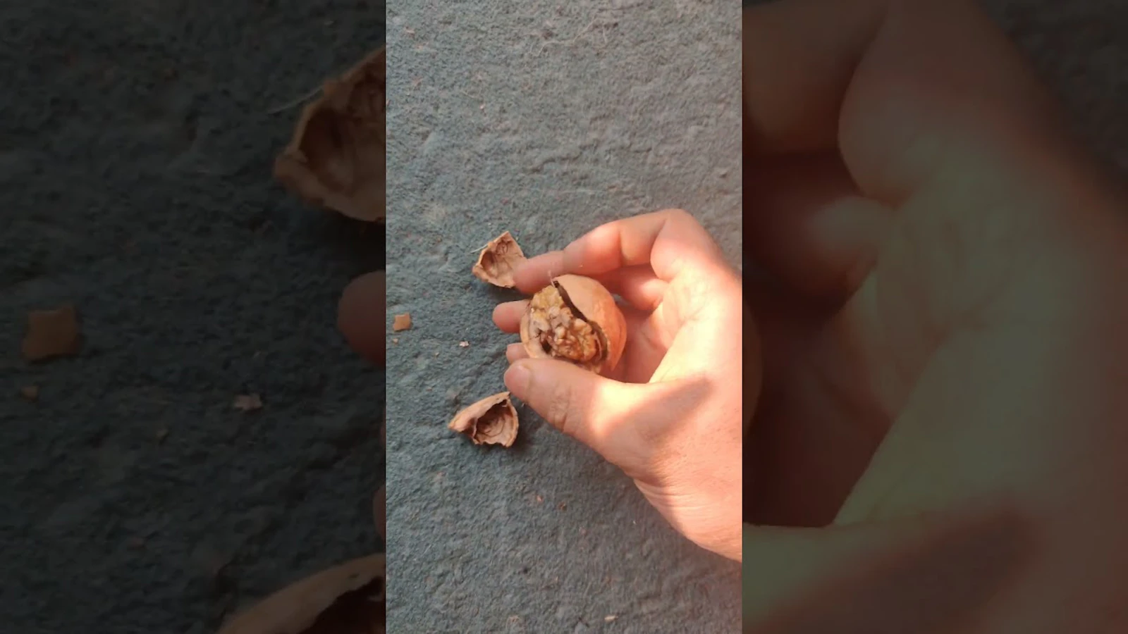 Al Naqi  screenshot 1 (video preview)