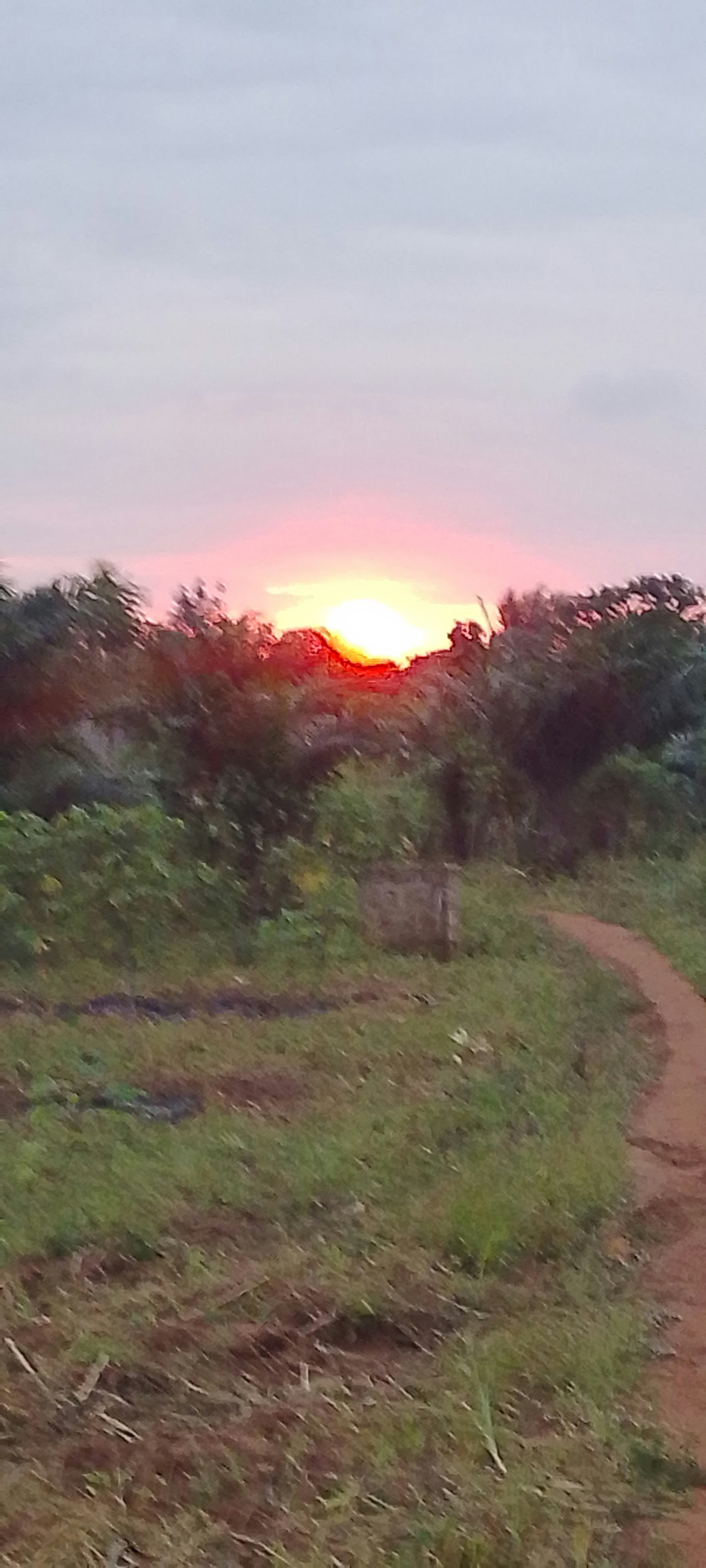 Voyageur gallery image