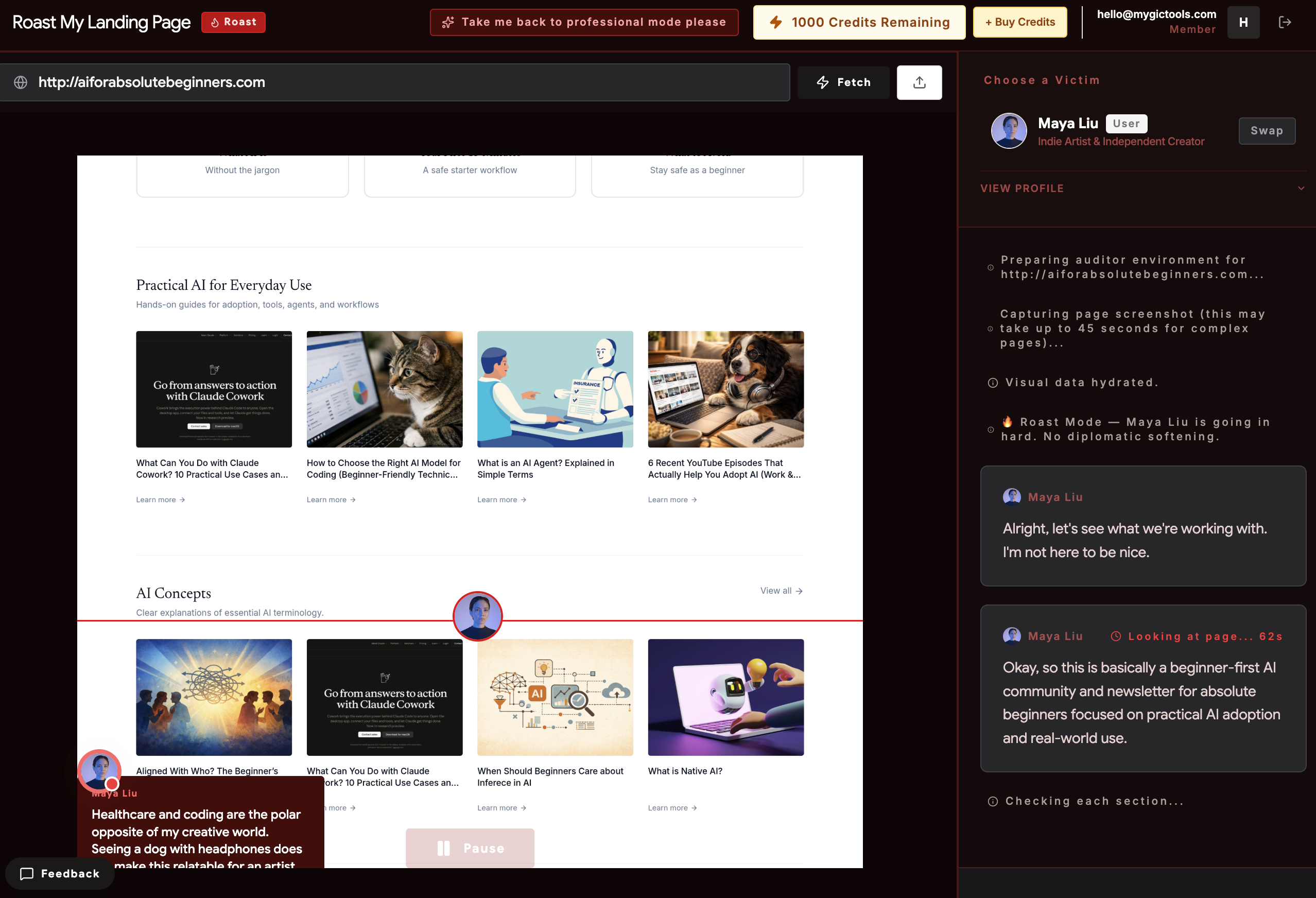 Roast My Landing Page AI gallery image