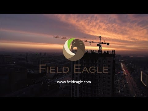 Field Eagle gallery image