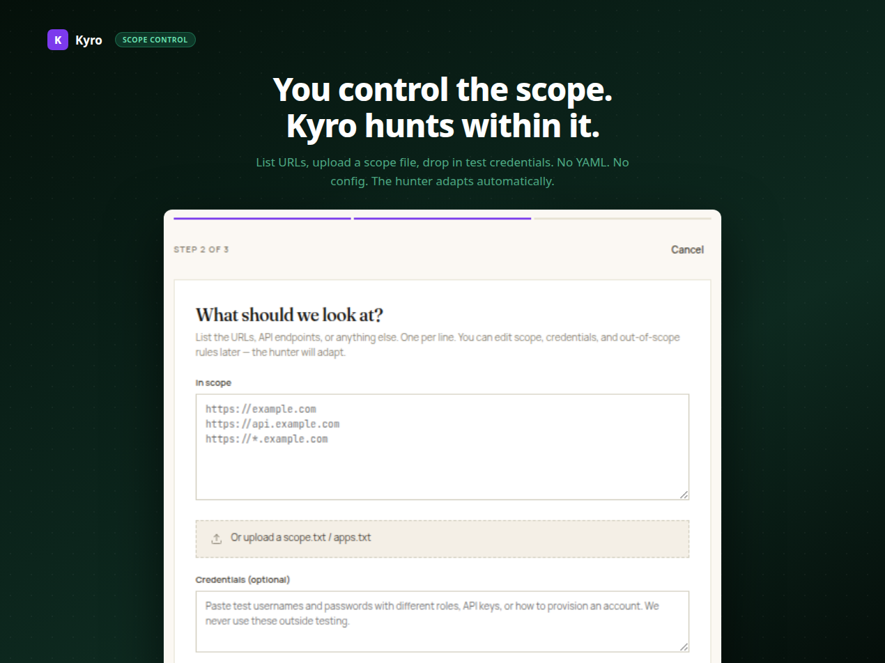 Kyro gallery image