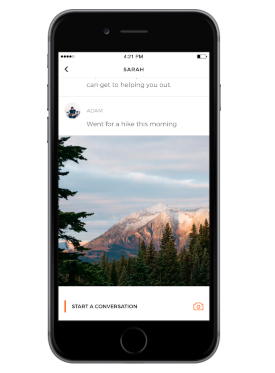 Pummel gallery image