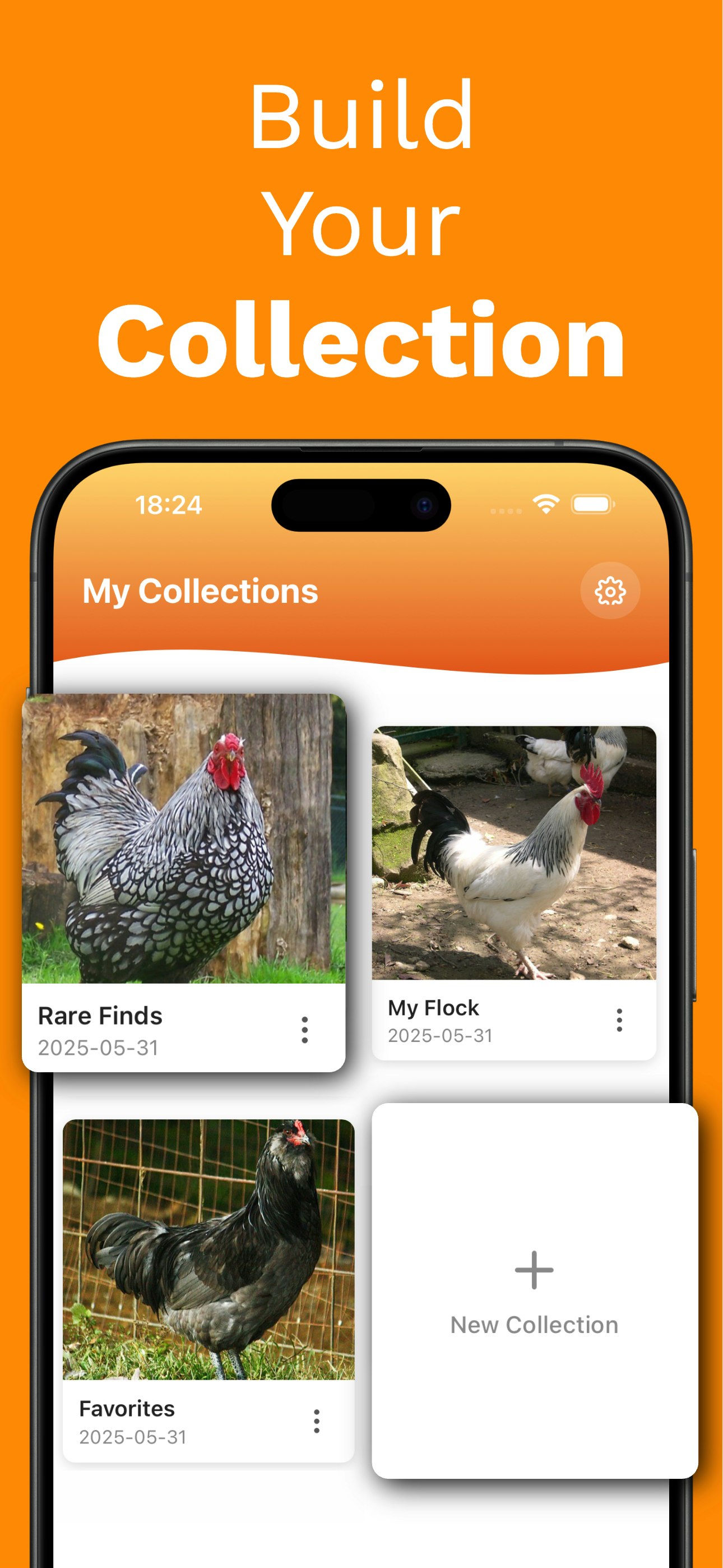OneRack media 5