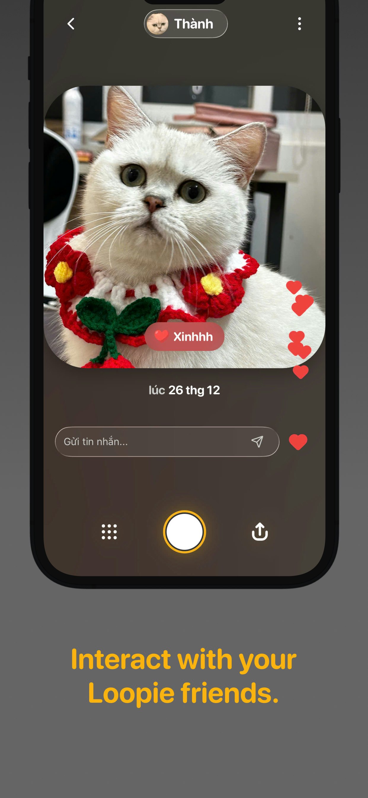 Loopie gallery image