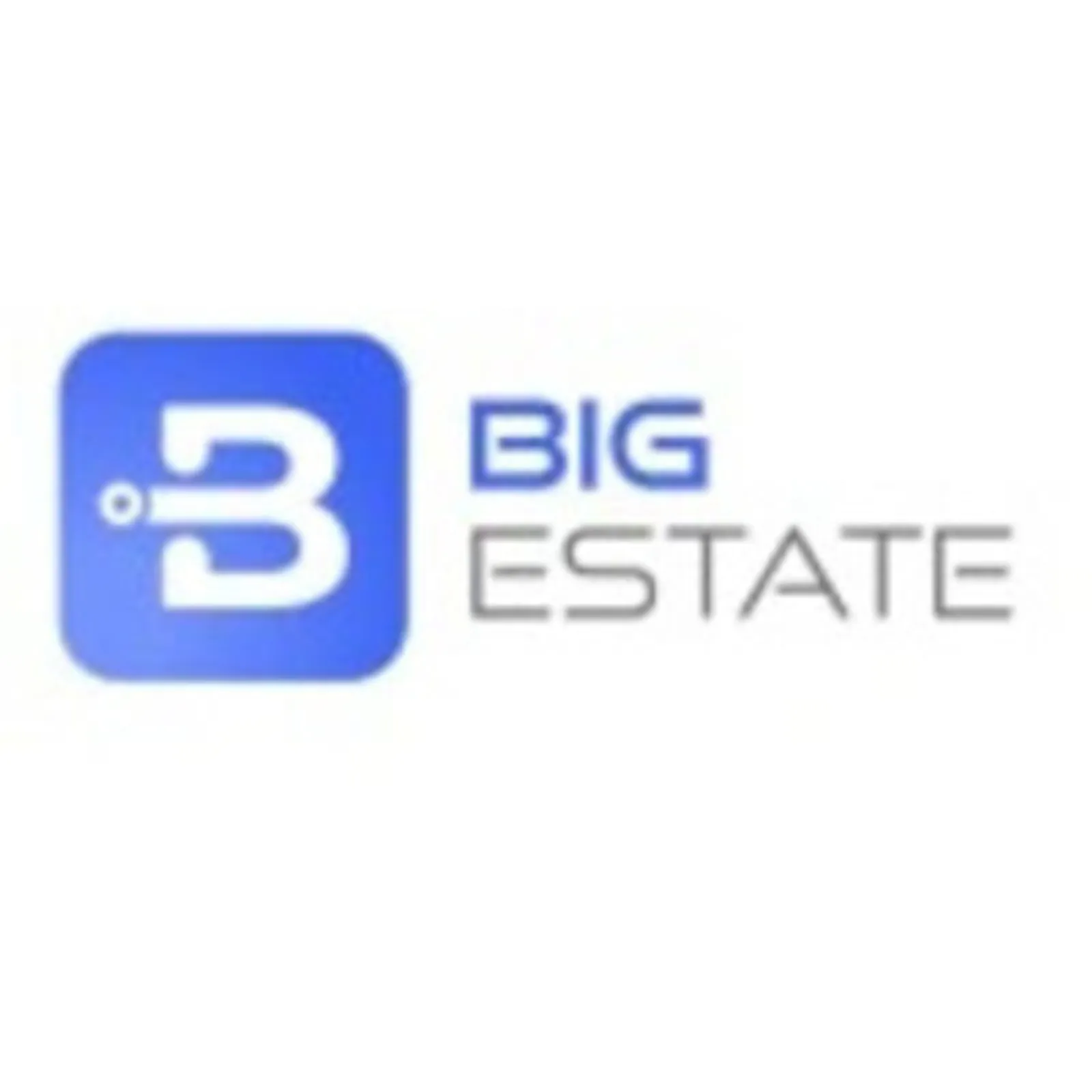 BigEstate screenshot 2