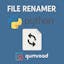 File Renamer