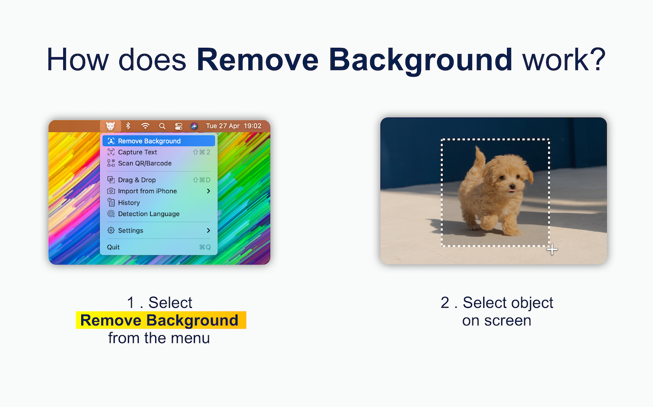 LensOCR gallery image