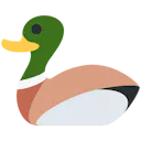 What The Duck!
