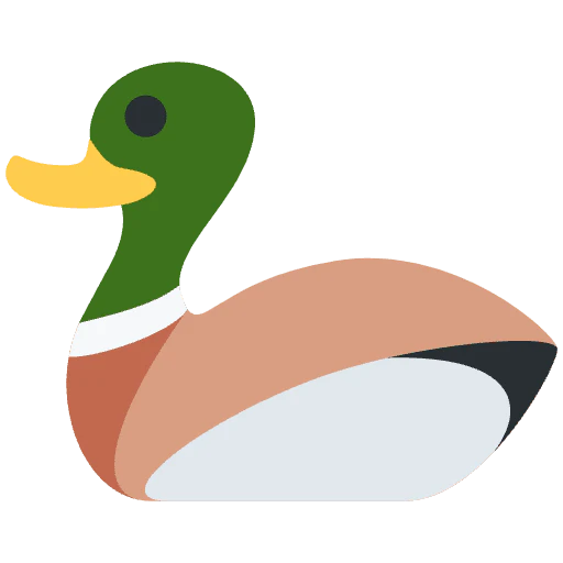 What The Duck! logo