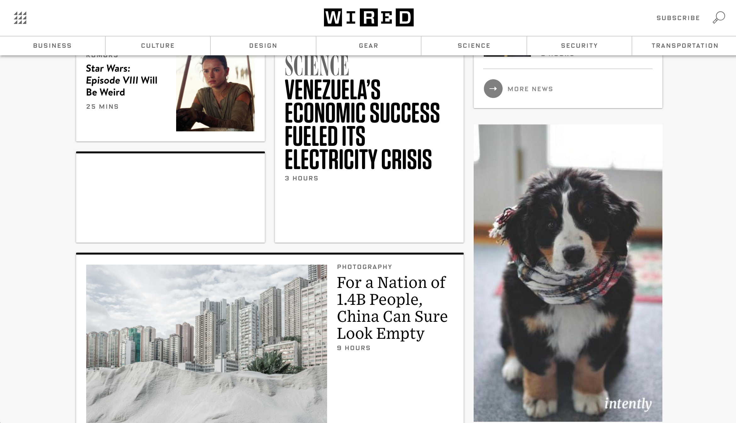 Intently gallery image