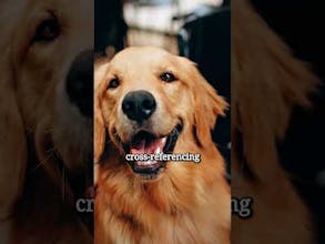 Feed Right gallery image