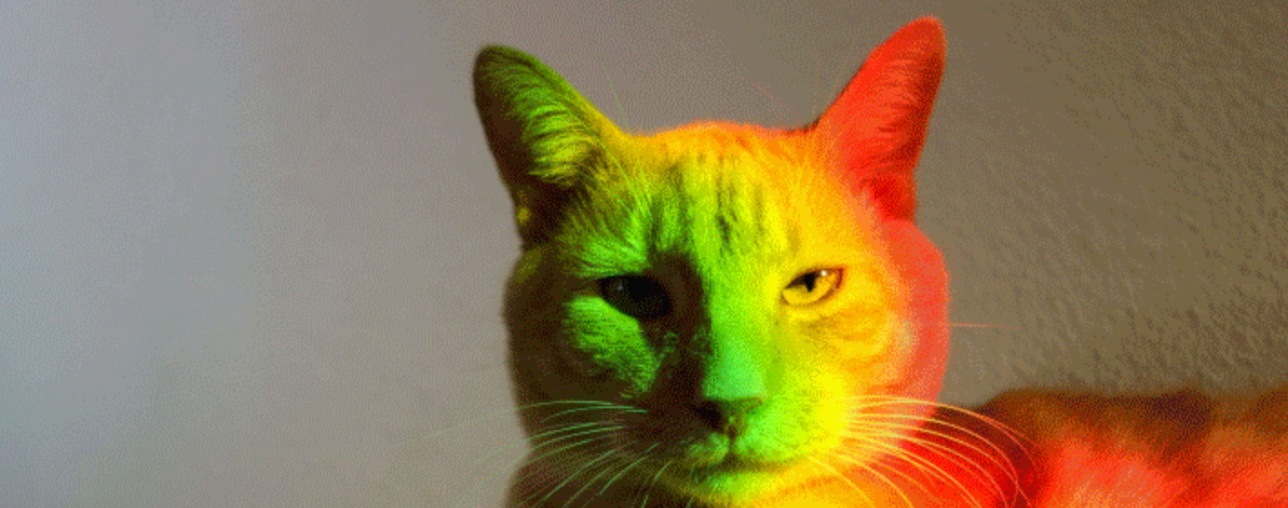 Giffage gallery image